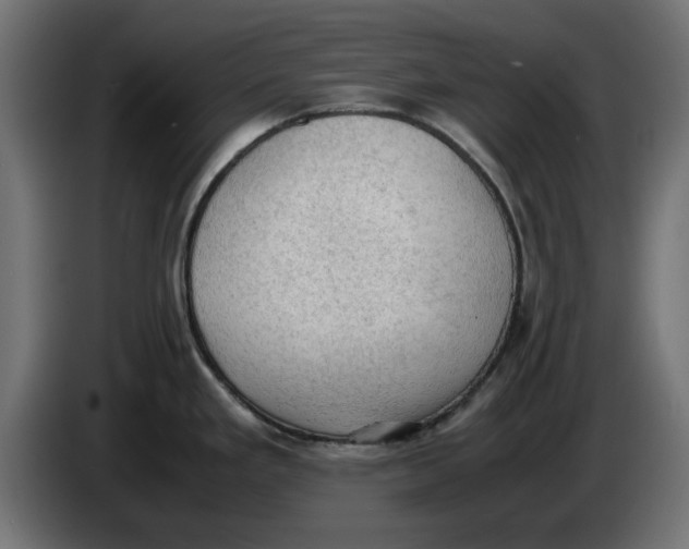 X0000086031293200704131904