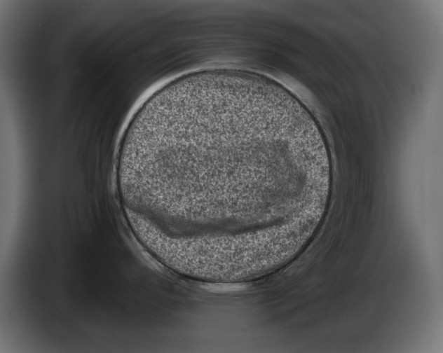 X0000086031296200704131904