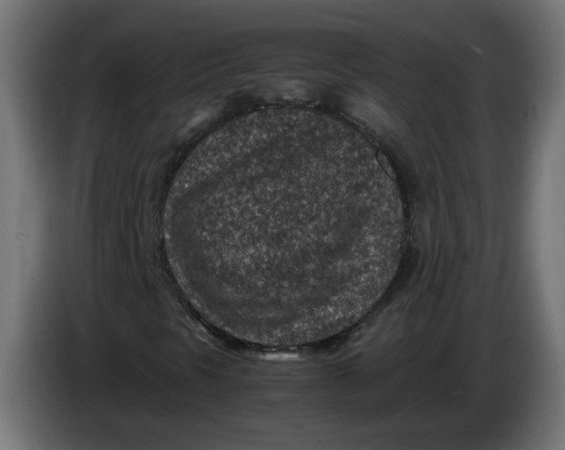 X0000086031297200704131904