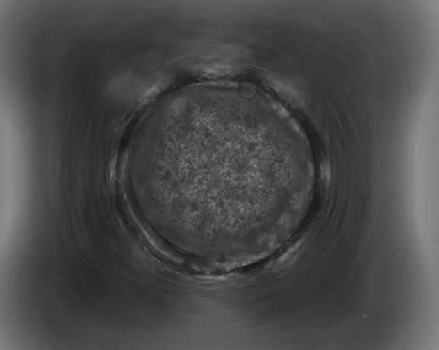 X0000086031300200704131904