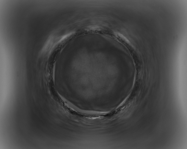 X0000086031303200704131904