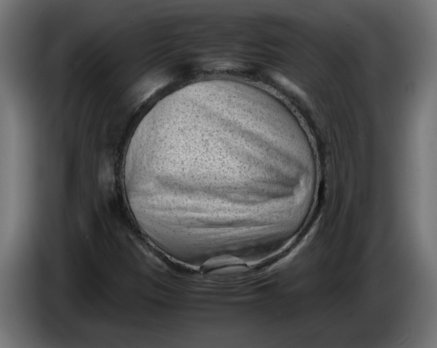 X0000086031305200704131904