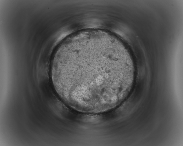 X0000086031314200704131904