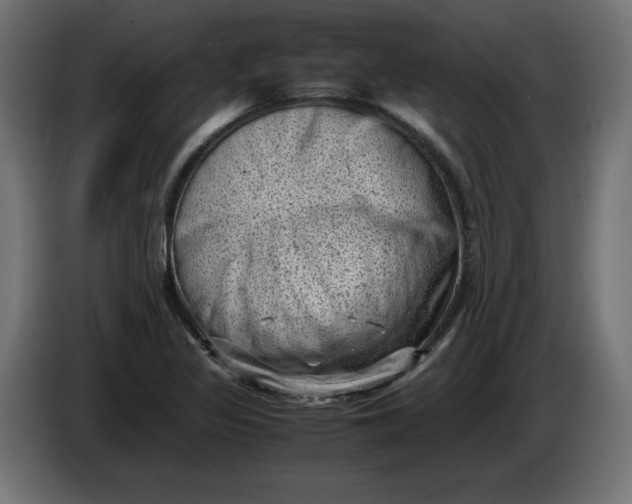 X0000086031317200704131904