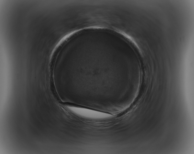 X0000086031319200704131904