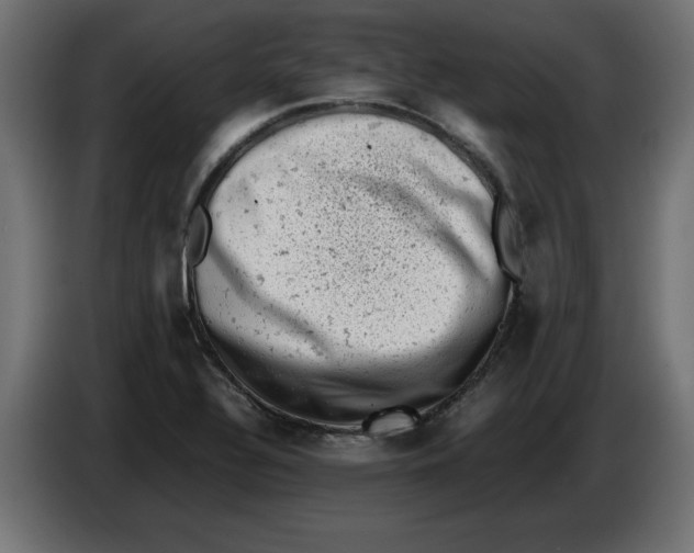 X0000086031320200704131904