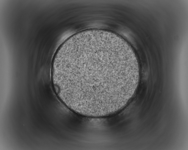 X0000086031322200704131904