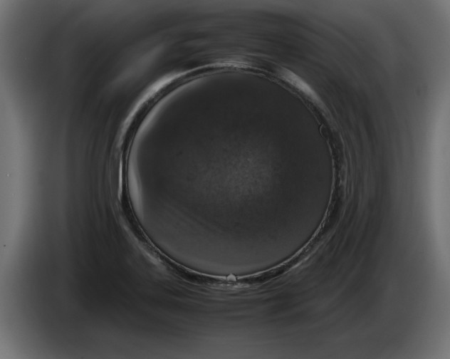 X0000086031323200704131904