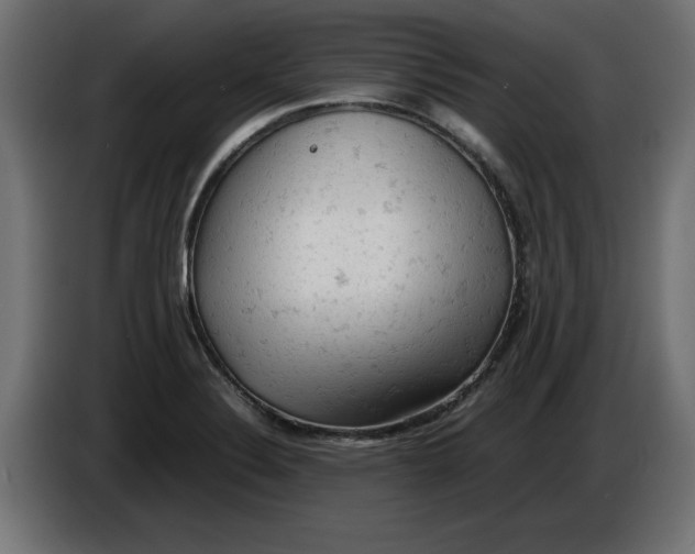 X0000086031324200704131904