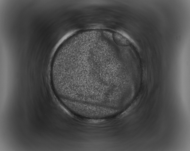 X0000086031325200704131904