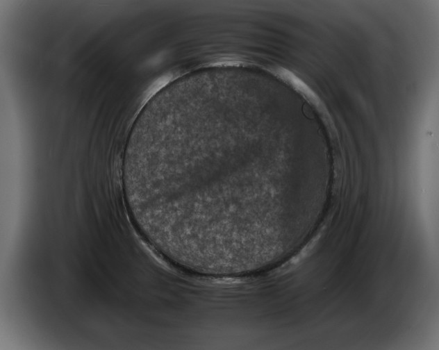 X0000086031329200704131904