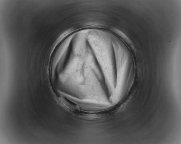 X0000086031330200704131904