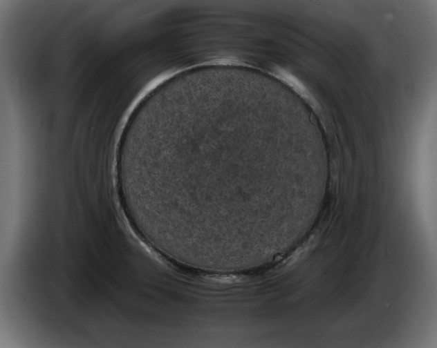 X0000086031331200704131904