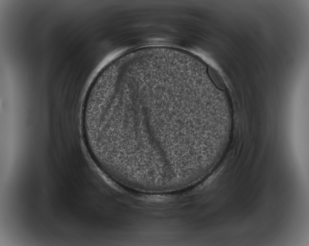 X0000086031333200704131904