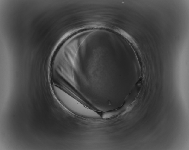 X0000086031334200704131904