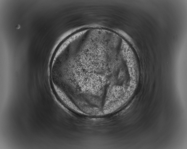 X0000086031335200704131904