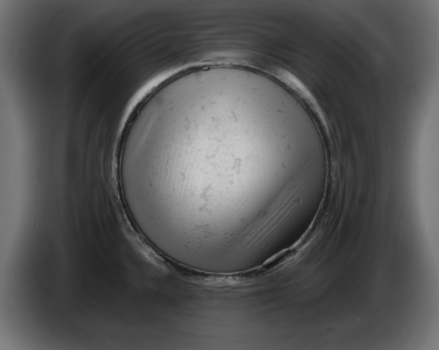 X0000086031336200704131904