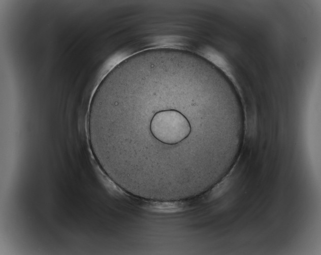 X0000086031338200704131904