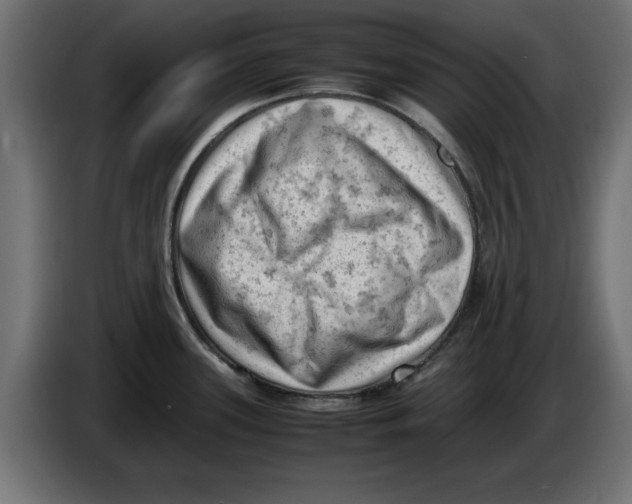 X0000086031339200704131904