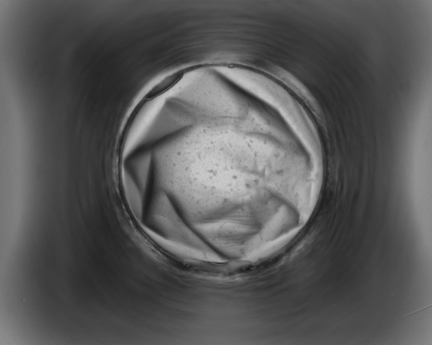 X0000086031340200704131904