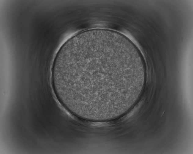 X0000086031341200704131904