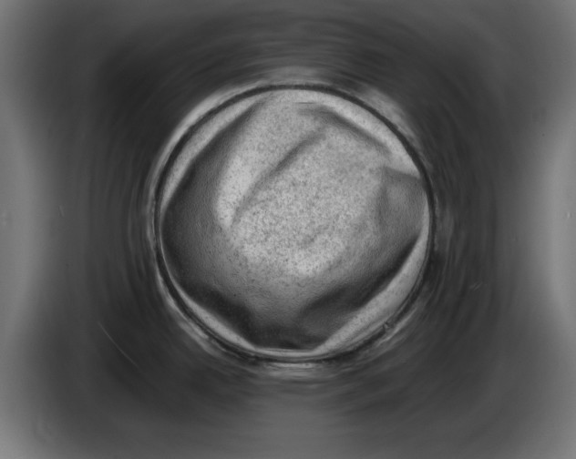 X0000086031342200704131904