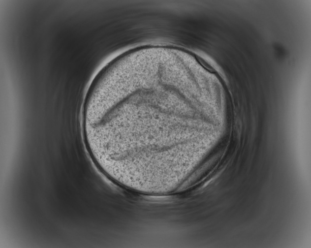 X0000086031343200704131904