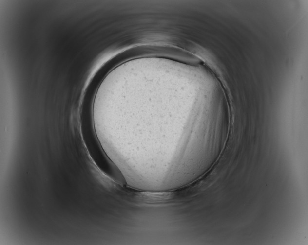 X0000086031344200704131904