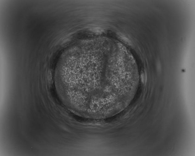 X0000086031347200704131904