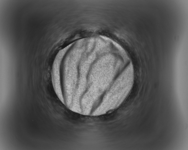 X0000086031349200704131903