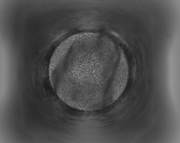 X0000086031350200704131903