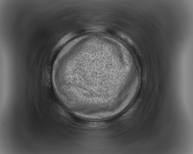 X0000086031354200704131903