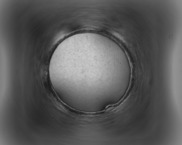 X0000086031355200704131903