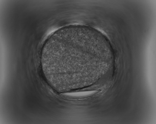 X0000086031359200704131903