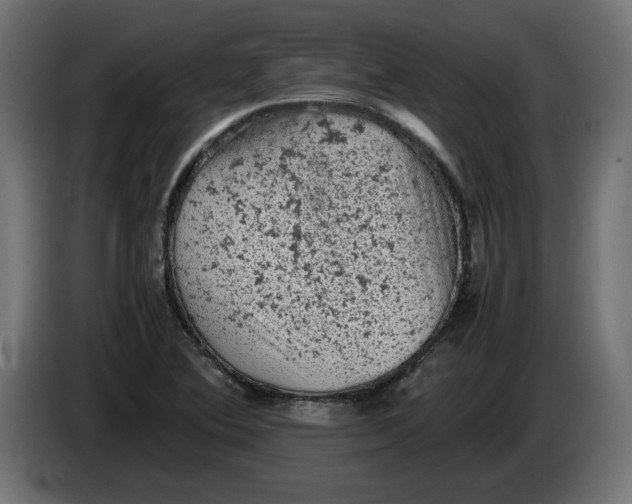 X0000086031364200704131903