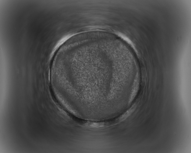 X0000086031365200704131903