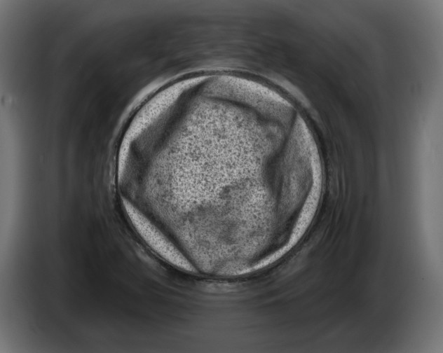 X0000086031366200704131903