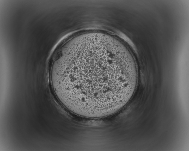 X0000086031368200704131903