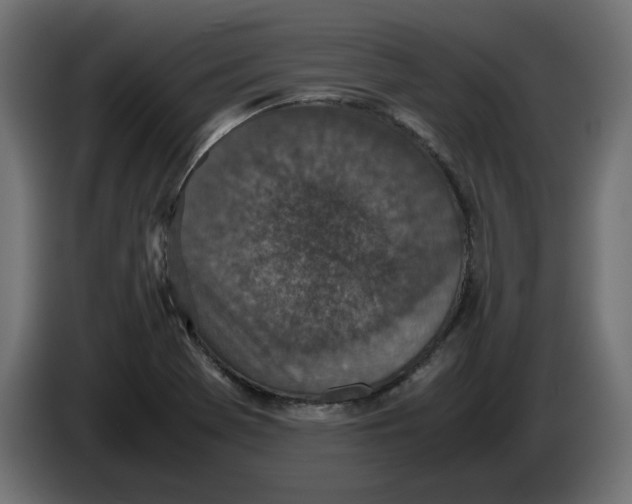 X0000086031369200704131903