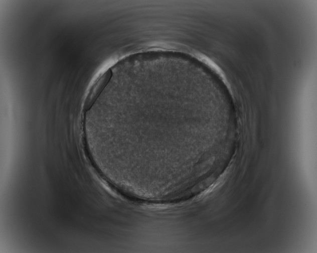 X0000086031373200704131903