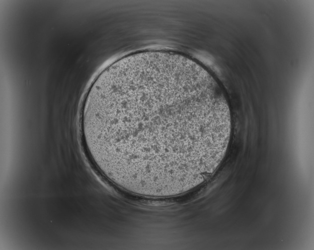 X0000086031375200704131903