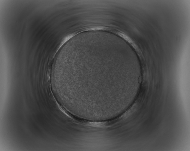 X0000086031377200704131903