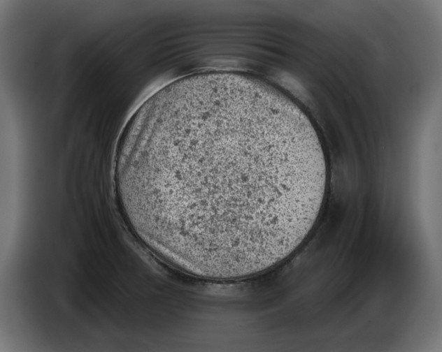 X0000086031378200704131903