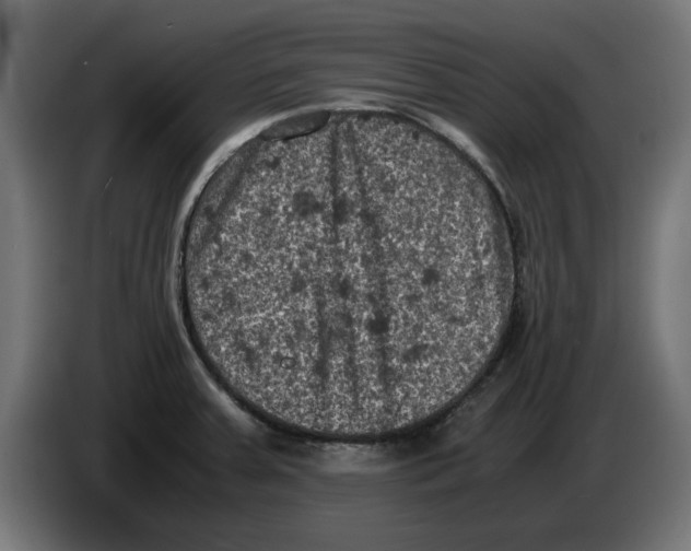 X0000086031379200704131903