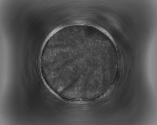 X0000086031381200704131903