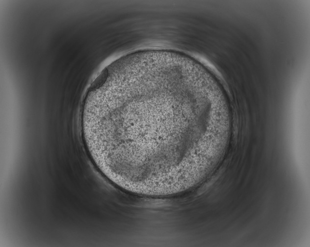 X0000086031382200704131903