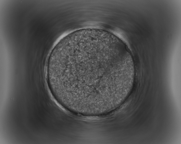 X0000086031383200704131903