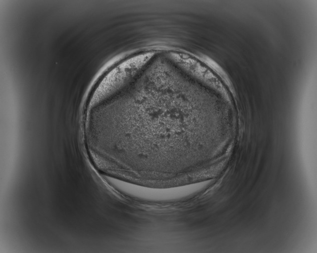 X0000086031384200704131903