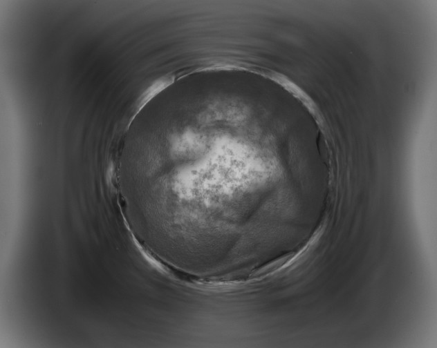 X0000086031385200704131903