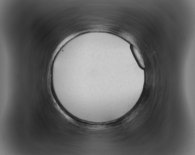 X0000086031387200704131903